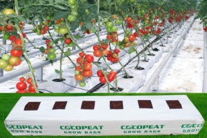Grow Bags Manufacturers & Suppliers